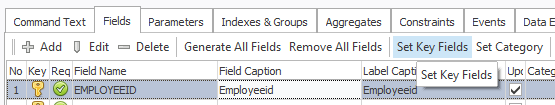 Chinook Datset Employee – Set Key Field